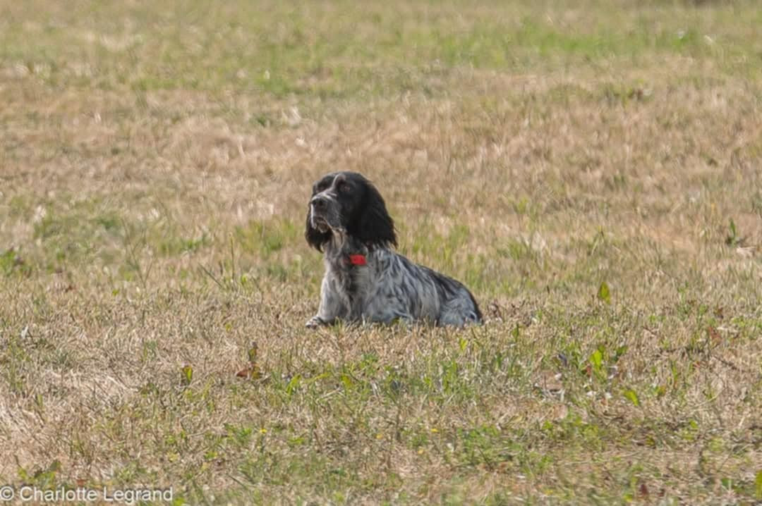 Sya des Rives du Cernon